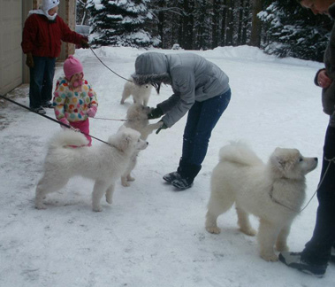 SAMD Puppy Match February 2013