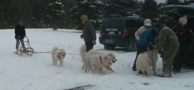 SAMD sledding outing